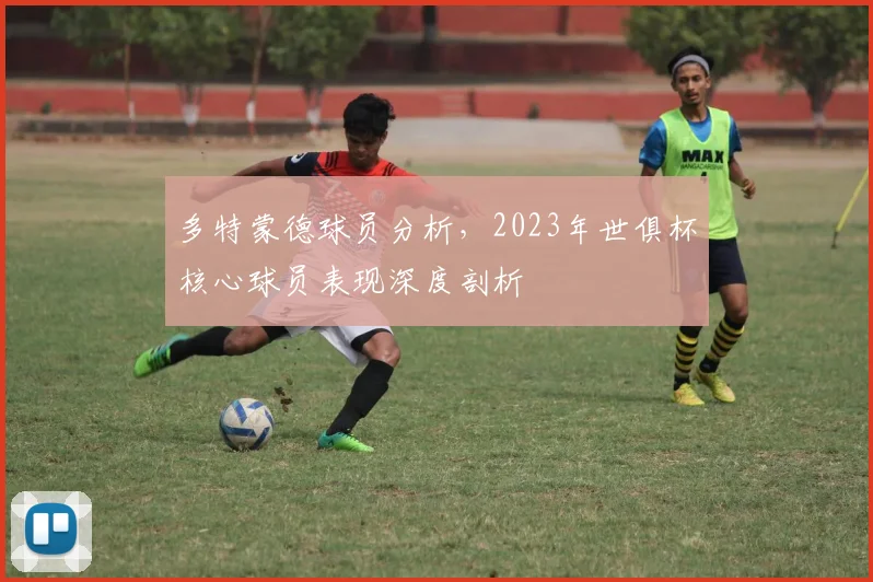 多特蒙德球员分析，2023年世俱杯核心球员表现深度剖析